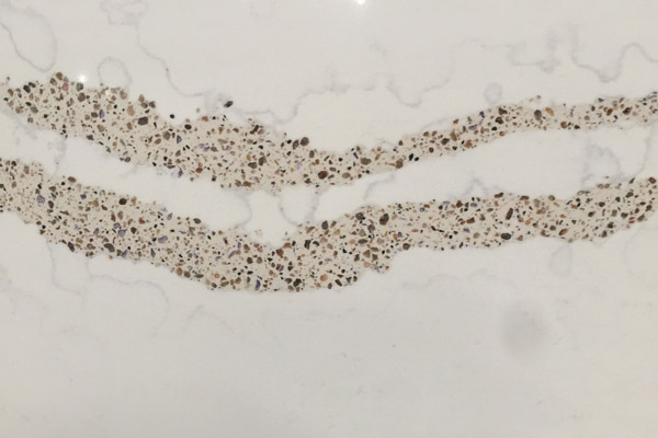 how much does quantum quartz cost how much does quantum quartz cost